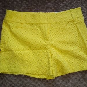 Loft shorts NWT